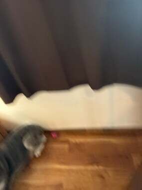 Thread & Supply Pink Plaid Button Down Flannel Shirt Size M